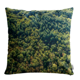 Housse de coussin – Forêt du Chablais Couleur – KaraDrone