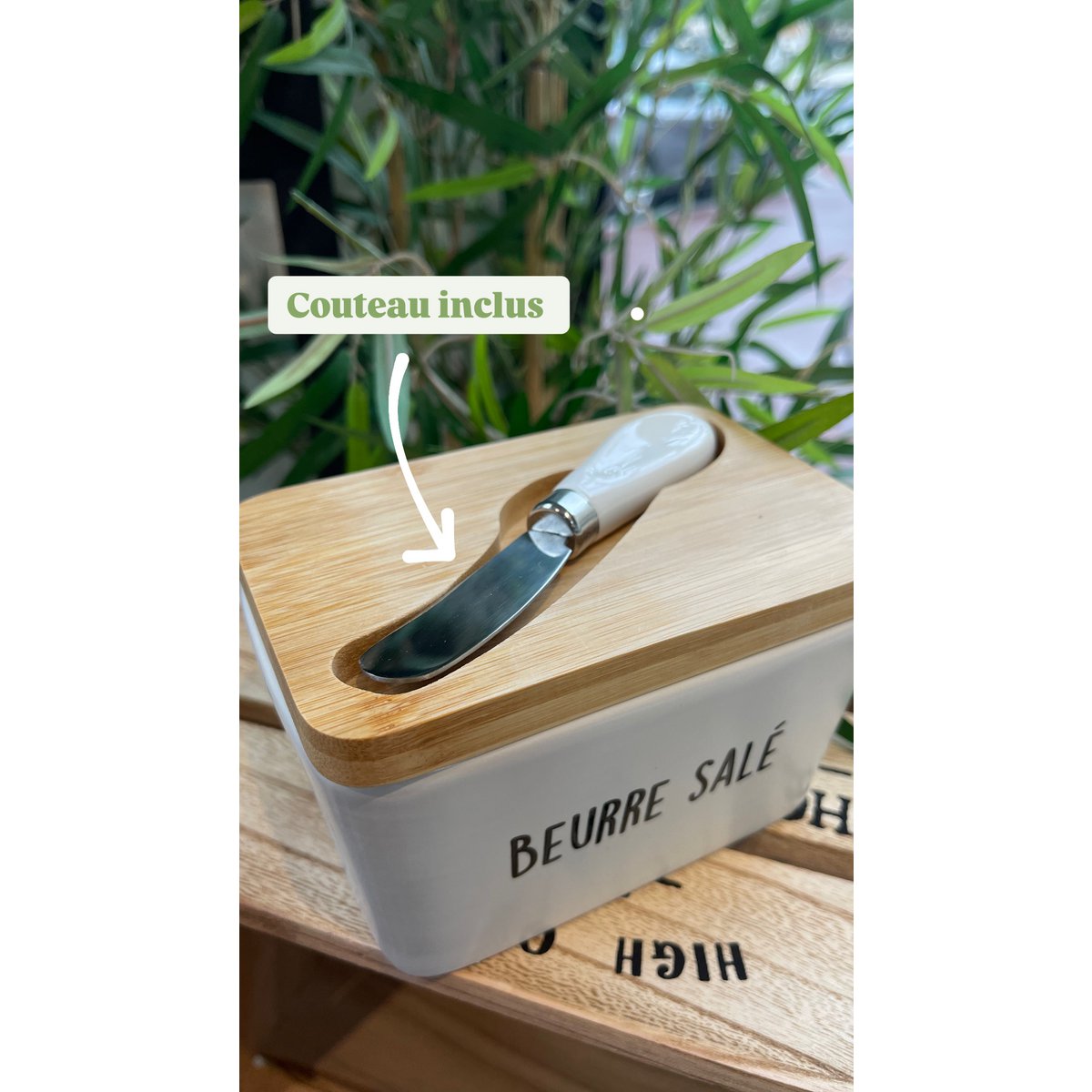 Set of 6 butler (knife included)