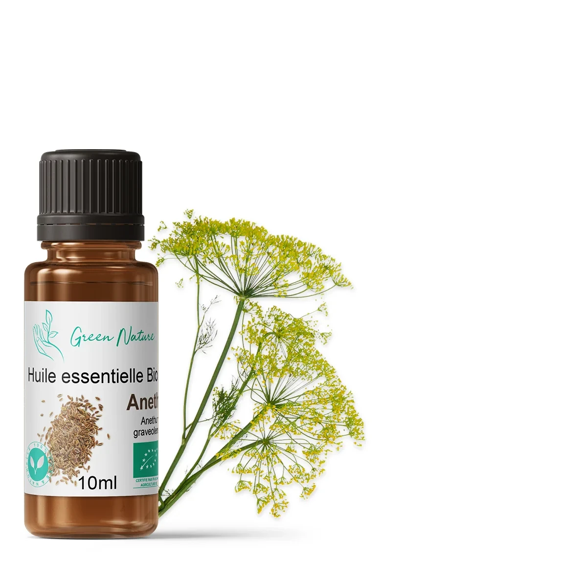 Dill organic essential oil
