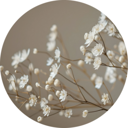 Vægcirkel Baby's Breath beige