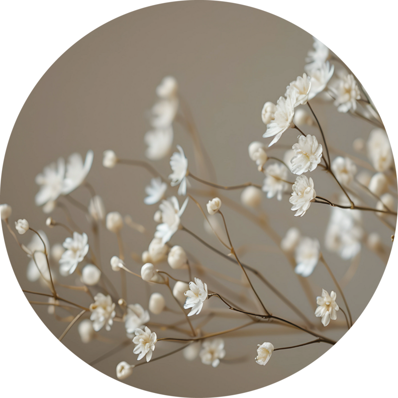 Vægcirkel Baby's Breath beige