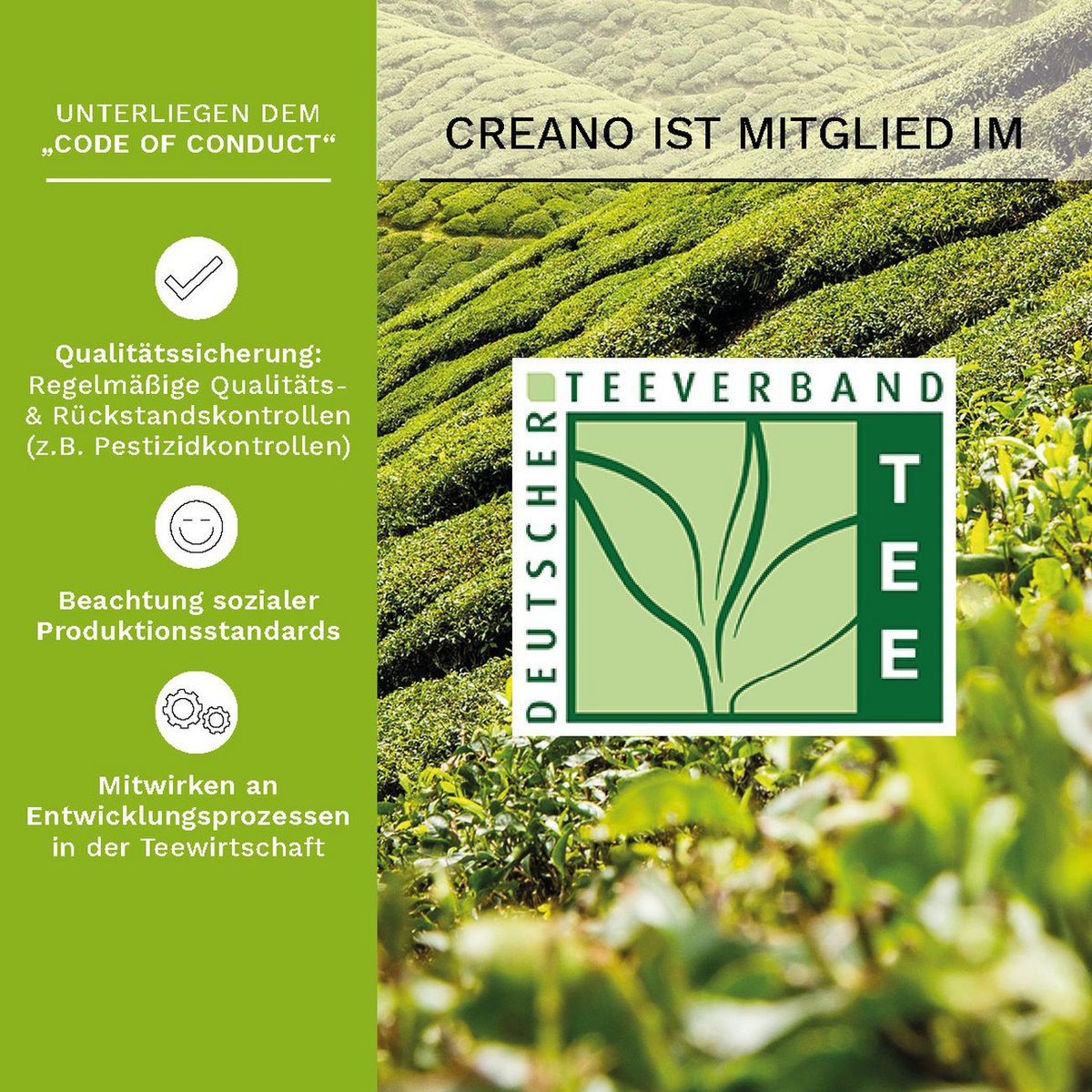 ErblühTee Grüntee 72er Packung