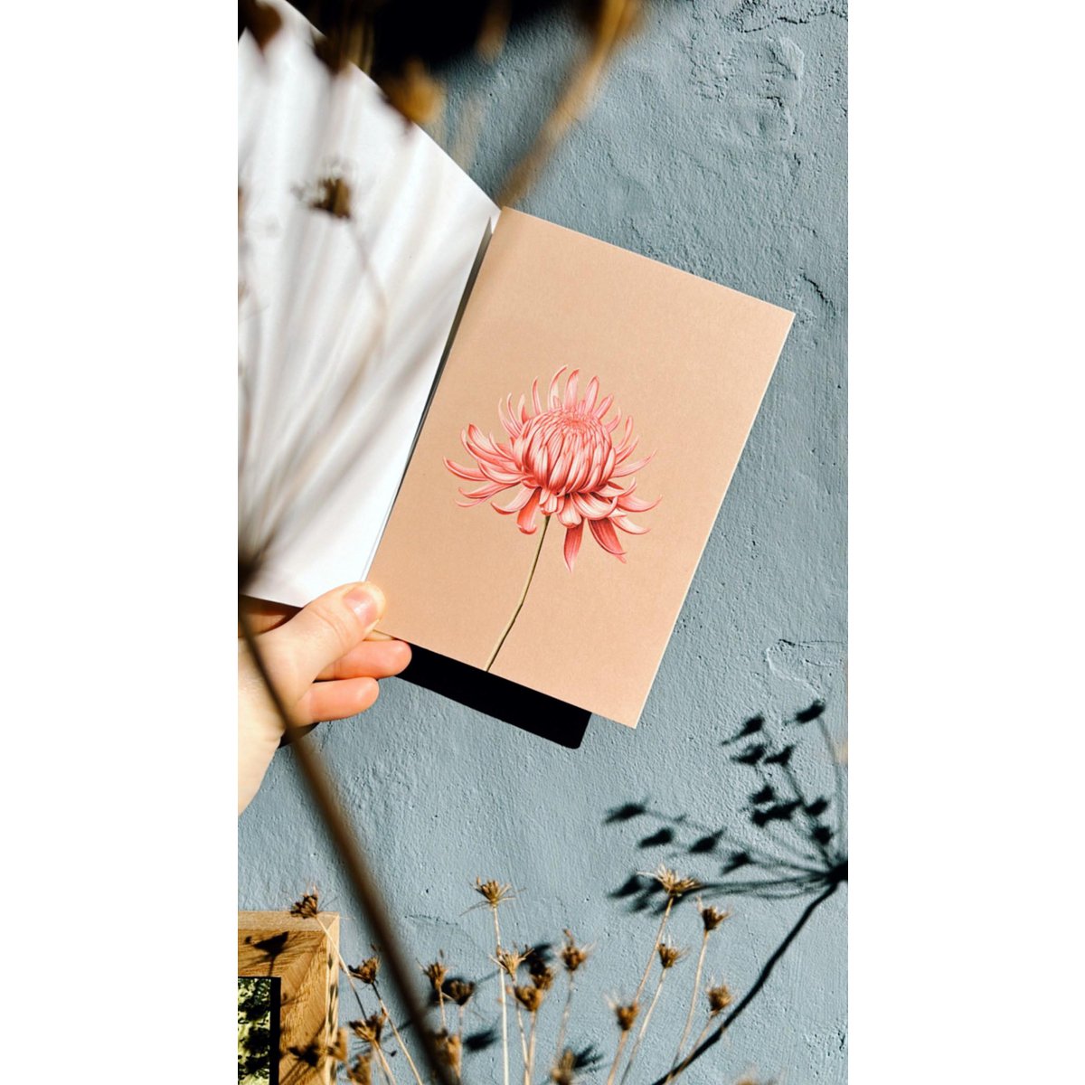 Wenskaart Leporello Chrysant