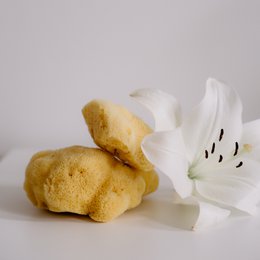 Spugna viso naturale in confezione regalo, media