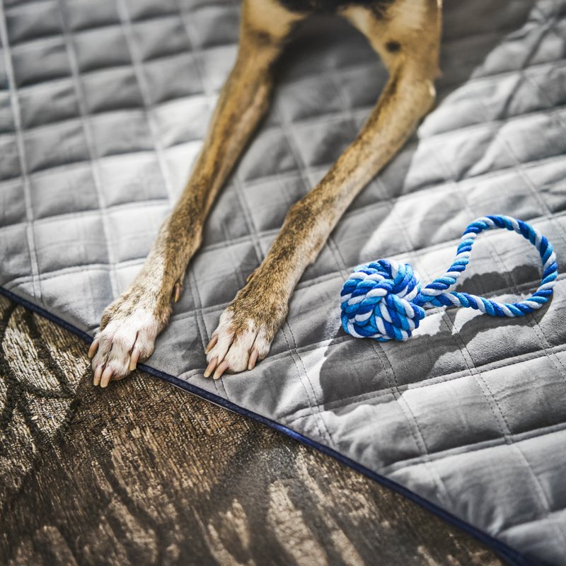 OXFORD fløjlstæppe til hunde