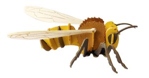 3D Paper Model - Bij
