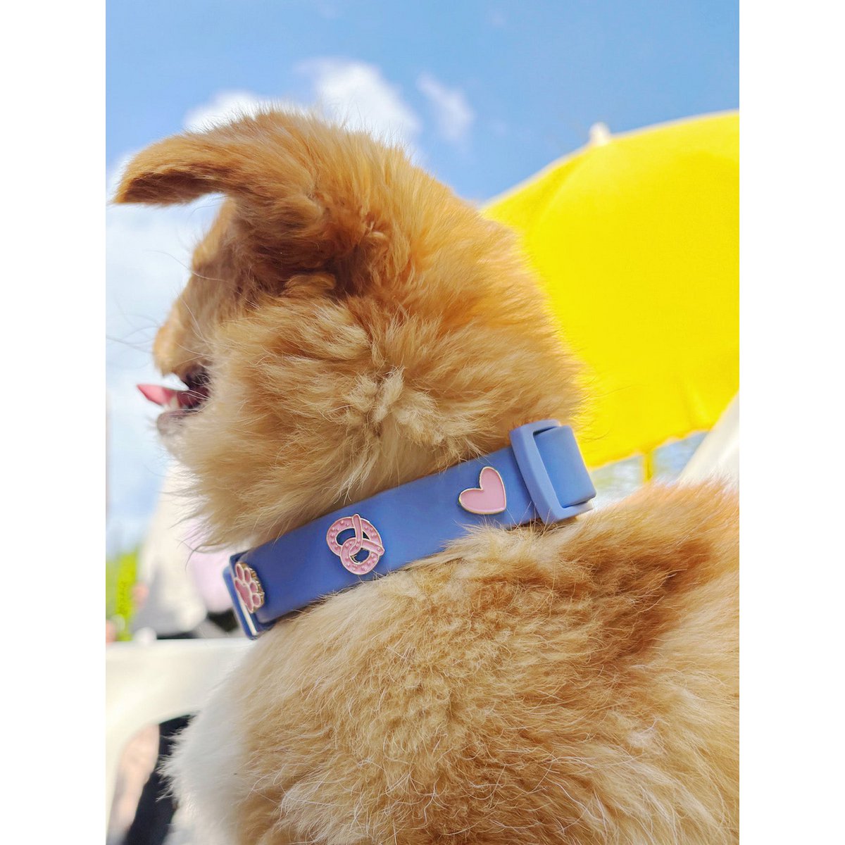 Herz Hundehalsband Anhänger