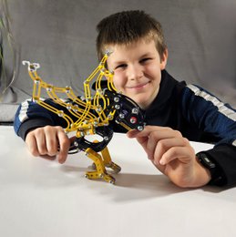 Bauwerk DIY Dino Pterodactylmetall
