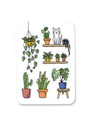 Colorful illustration of various potted plants and a cat figurine on shelves. Includes details like different plant shapes, textures, and colors that could be used for product search.