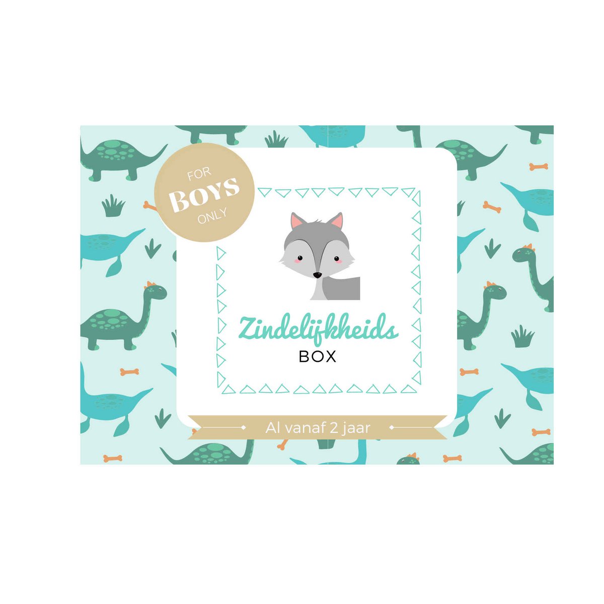 Zindelijkheidsbox - Jongen editie - Zindelijkheidstraining kind - Peuter - Leren op het potje / naar de wc