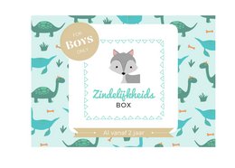 A toilet training box for boys, featuring a variety of dinosaur-themed graphics and accessories to help toddlers learn to use the potty.