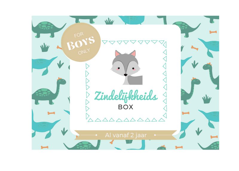 Zindelijkheidsbox - Jongen editie - Zindelijkheidstraining kind - Peuter - Leren op het potje / naar de wc