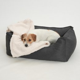 Hundebett Box Bett Ono graphit