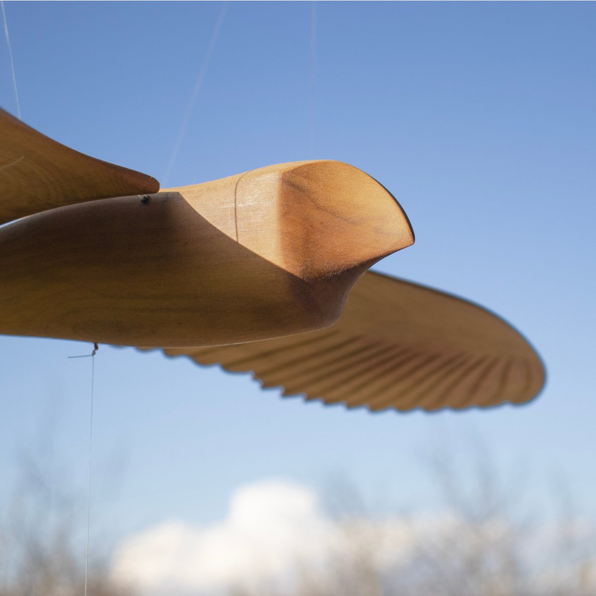 wooden birds
