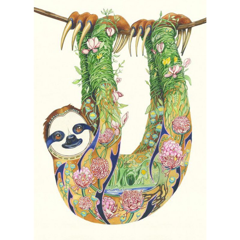 E116 - sloth