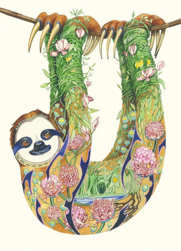 E116 - sloth
