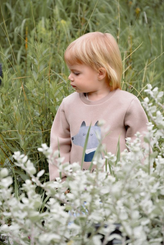 Valentin sweatshirt - Wolf