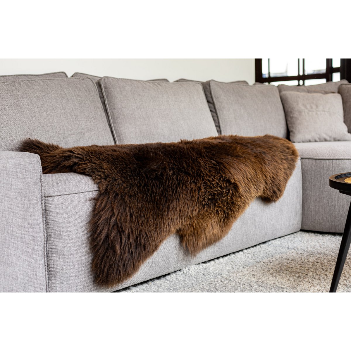 Brown Texel Schaffell | 4 Varianten