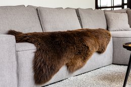 Brown Texel Schaffell | 4 Varianten