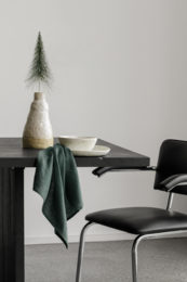 Napkins Forest green  (set of 2) / 100% linen