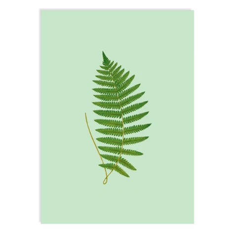 Postkarte Fern