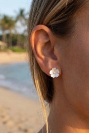 Stainless steel earrings