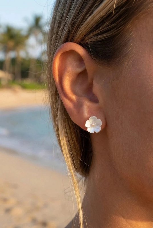 Stainless steel earrings