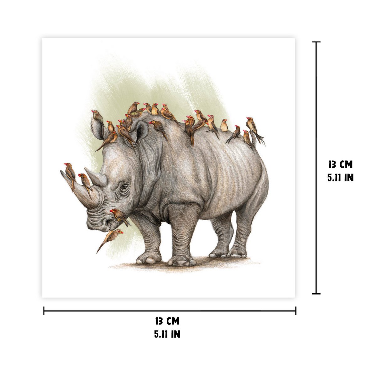 The Rhinos Guard - Greeting Card, 13 x 13 cm, Birds, Cards