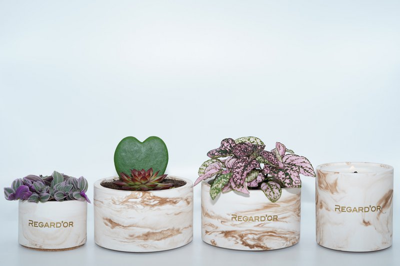 Macetas - Grandes - Impermeables y hechas a mano
