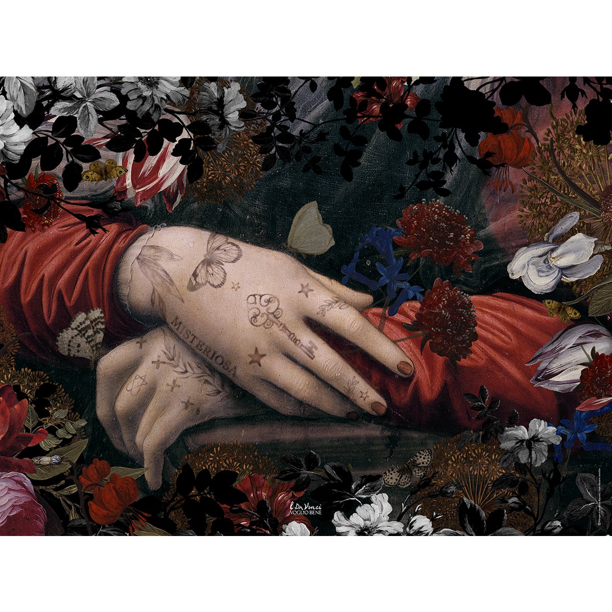 POSTER 20X30 CANSON MISTERIOSA