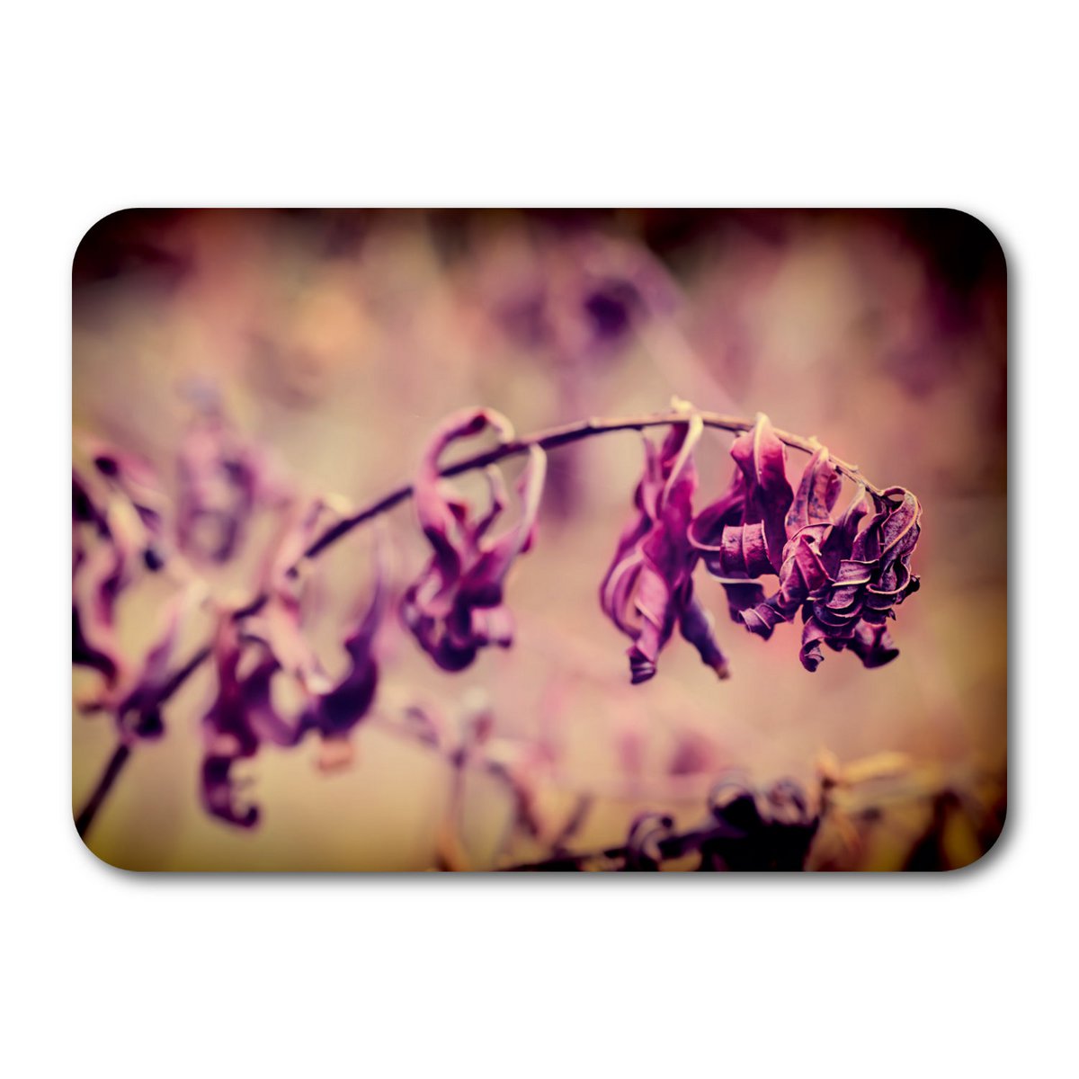Natural paper postcard 7183