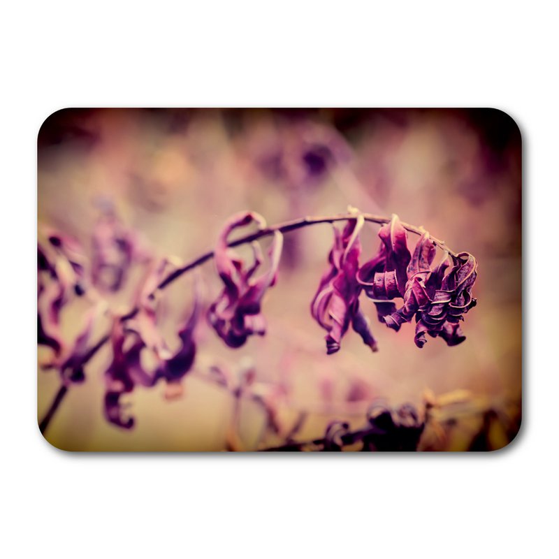 Natural paper postcard 7183