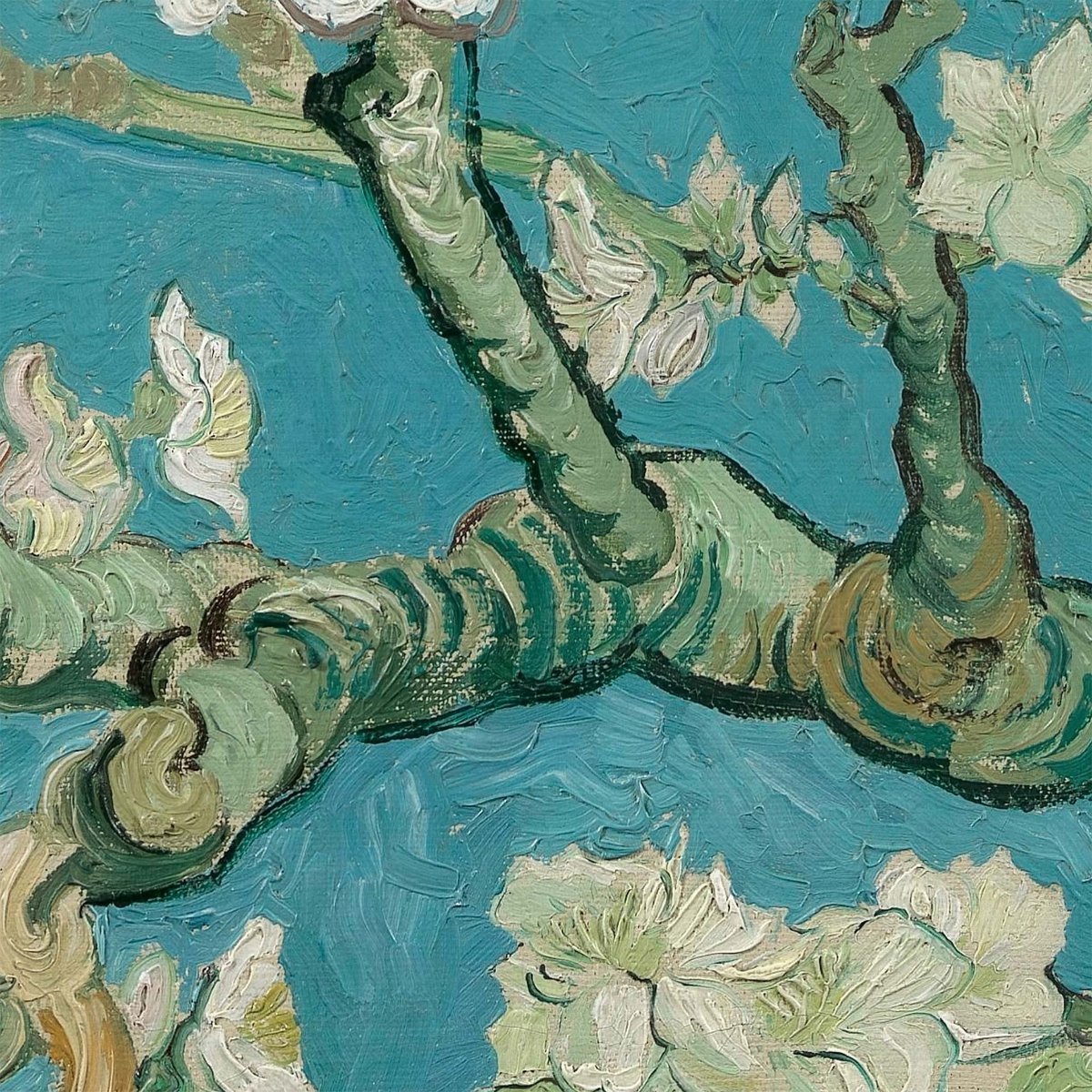 Turquoise amandel bloesem dier kussensom
