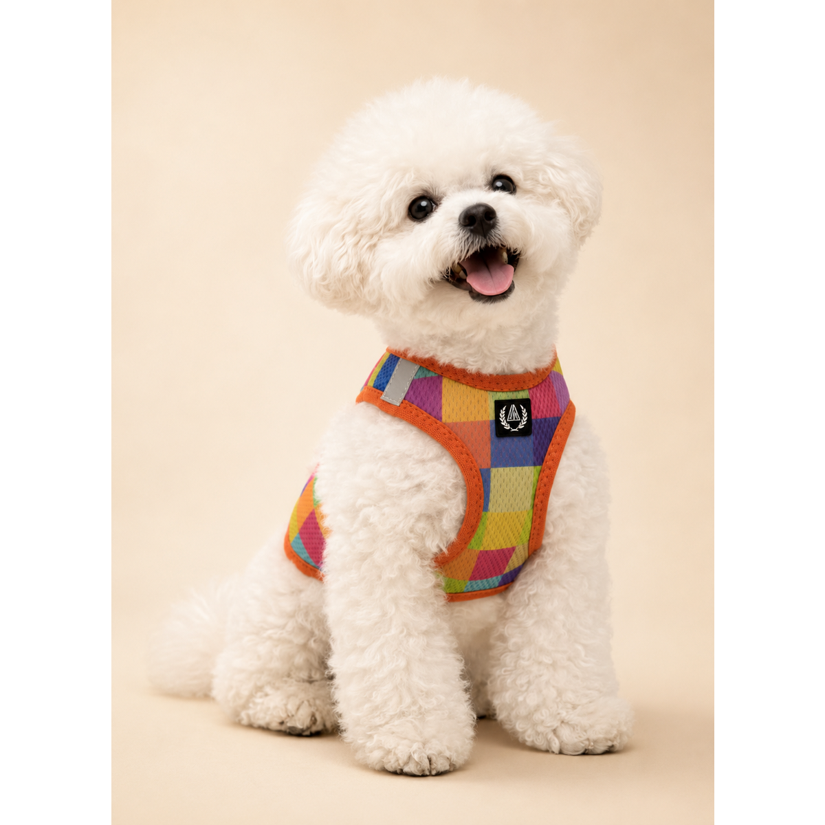 Alpha Dog Åndbar Air Mesh Harness Collection Colorbox- 5-Pc sæt