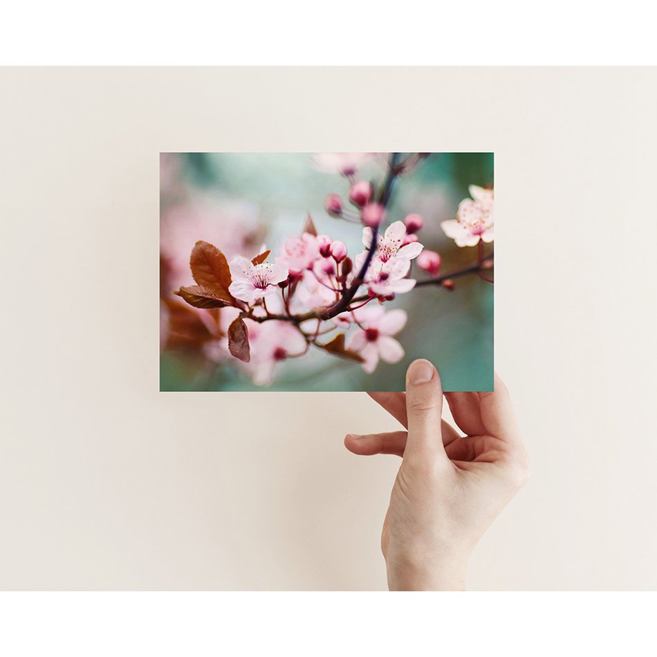 Postkarte Grußkarte Pflaumenblüte (PK_055)