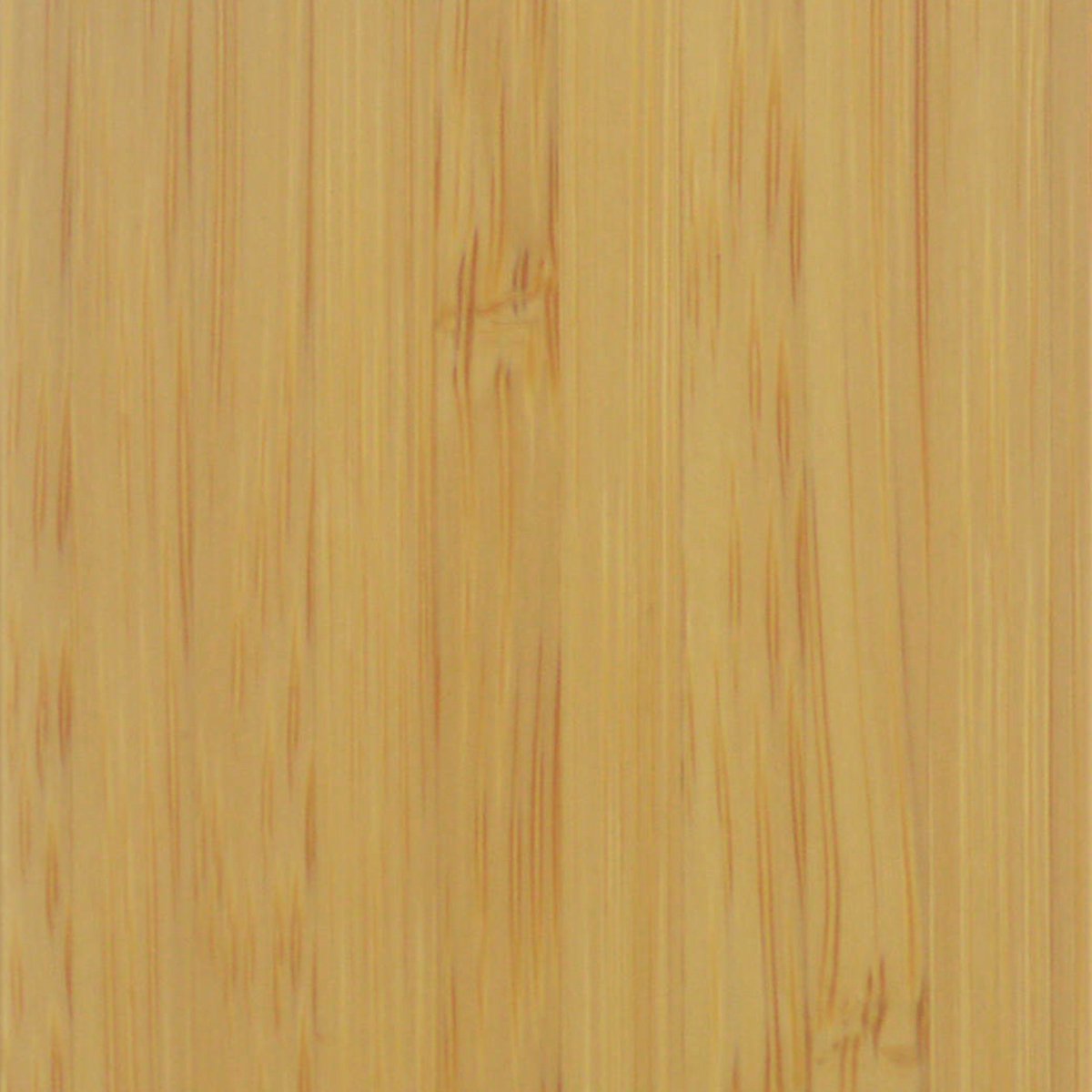 iPhone 11 Hoesje van TPU en Bamboe Hout