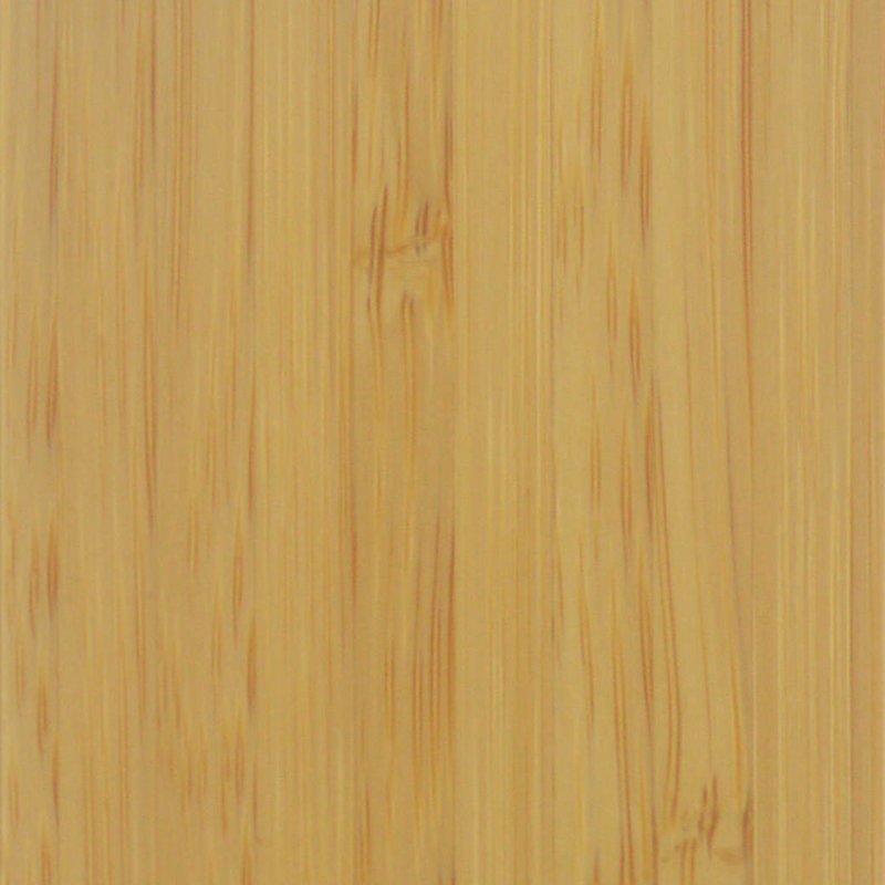iPhone 11 Hoesje van TPU en Bamboe Hout