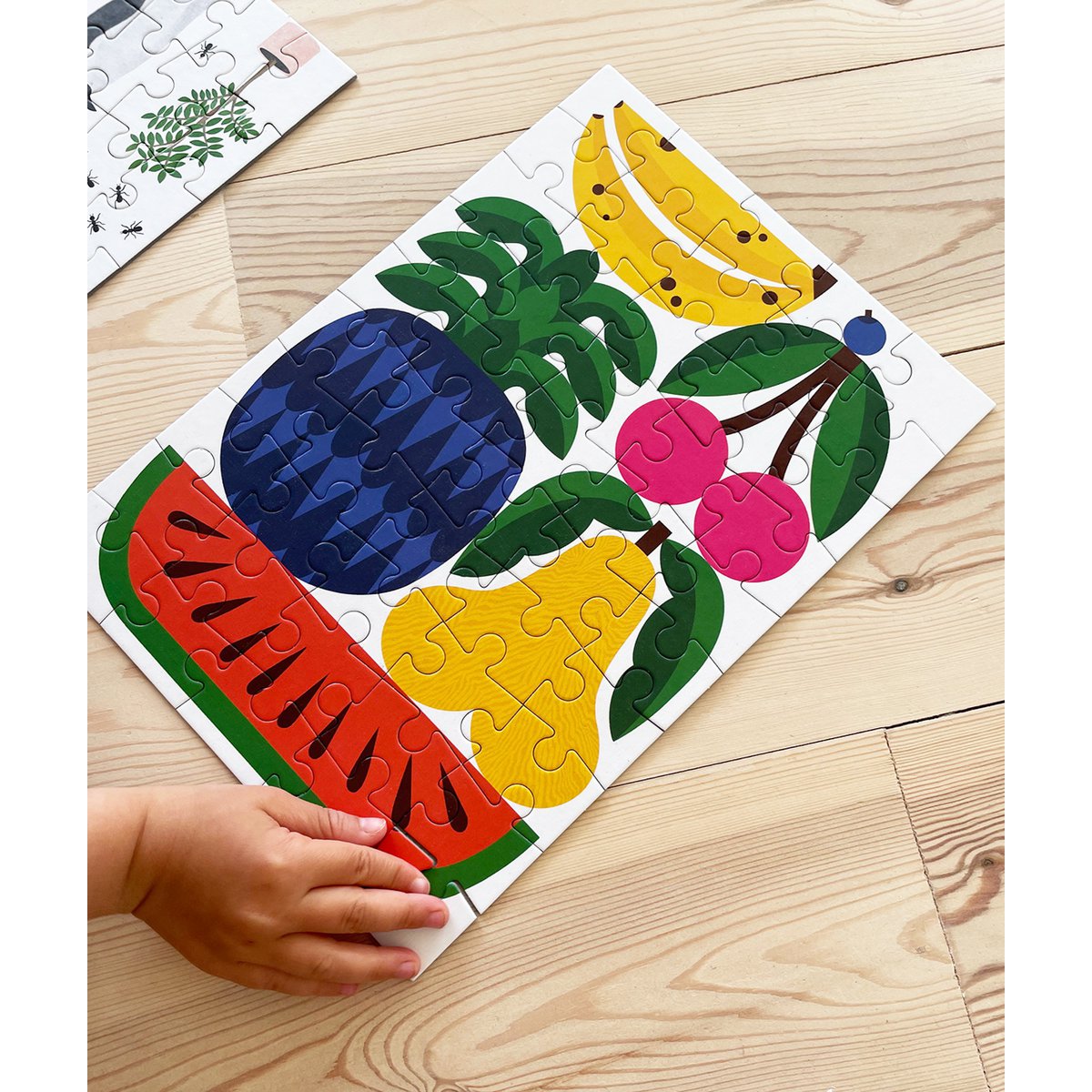 Fruit Jigsaw Puzzle for Kids (50 Pieces)