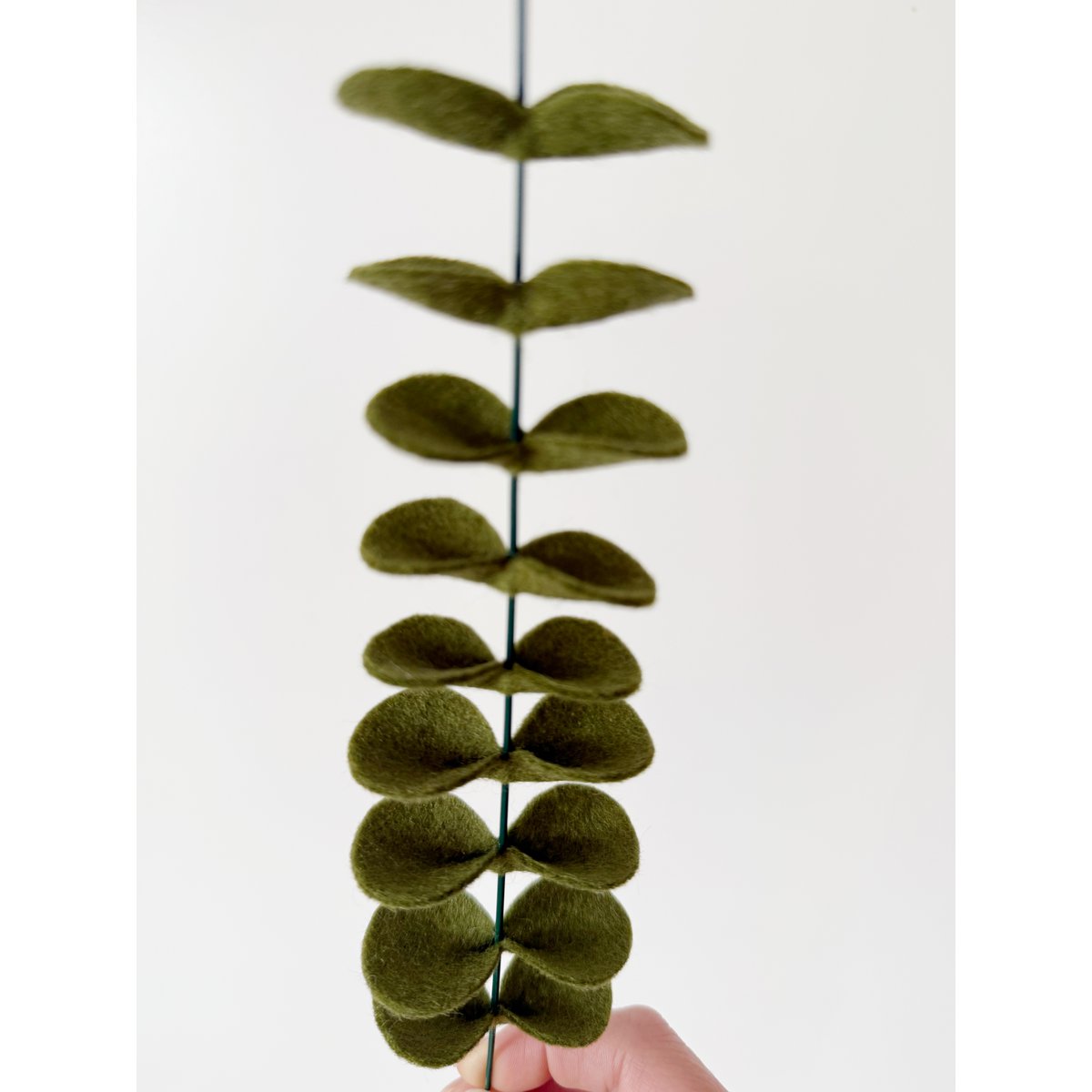 Feltbloem eucalyptus dark green