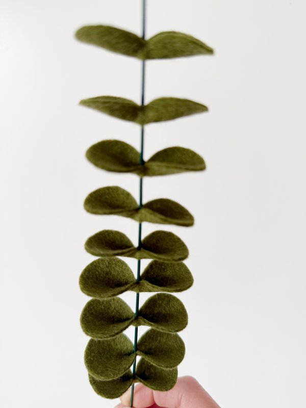 Feltbloem eucalyptus dark green