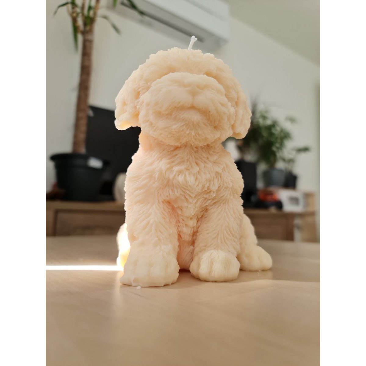 Bobby XL