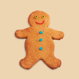 Fantastisk Gingerbread Biscuit Mix