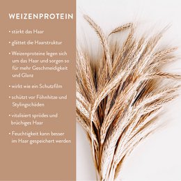 Zestaw startowy organiczny szampon, odżywka, płyn do mycia rąk i ciała, w tym szklane butelki uzupełniające