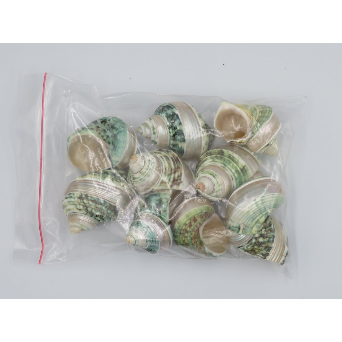 Natural shell - Talembu Poleng Green