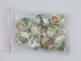 Natural shell - Talembu Poleng Green