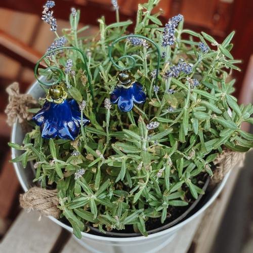 Campanula + bastone