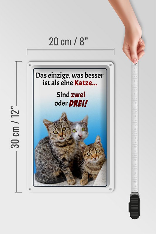 Targa in metallo 20x30 cm con scritto "solo cosa è meglio del gatto".