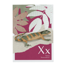 A colorful alphabet card featuring the letter "X" and an image of a small lizard-like animal, likely a Xenosaurus, against a pink and white leaf-patterned background.