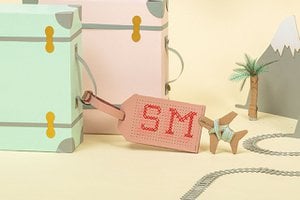Stitch Luggage Tag - Pink