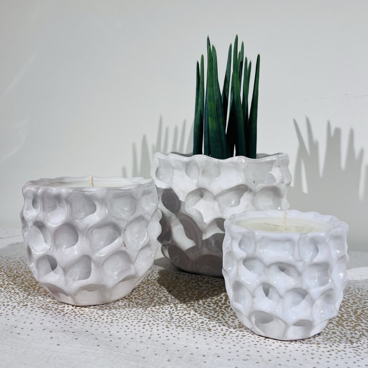 Large Flower Pot